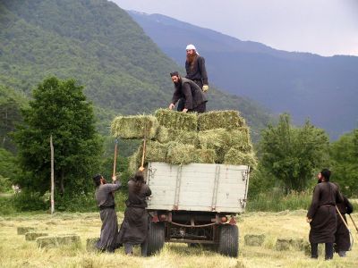 zivot izbor 02