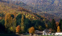 Istorija Izbor mesta